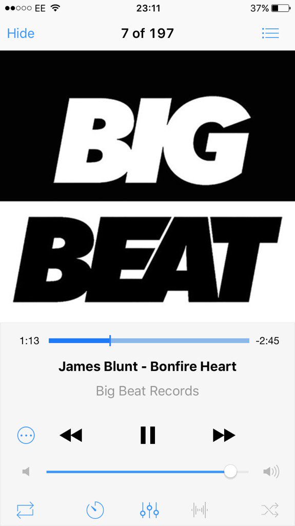 zaydidris's tweet image. #Bonfirevibes