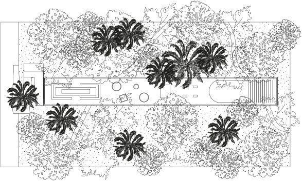 tree canopy as roof #housing amazonforest #research project from dgsarkitekter! #Brasil #landscapearchitecture
