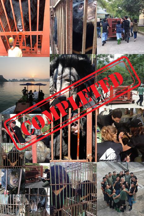AmyRoseKathryn's tweet photo. Animals Asia rescues 33 bears to end bear bile farming in Vietnam hotspot https://t.co/eV6nXXlzEu https://t.co/qA3EKOAao5