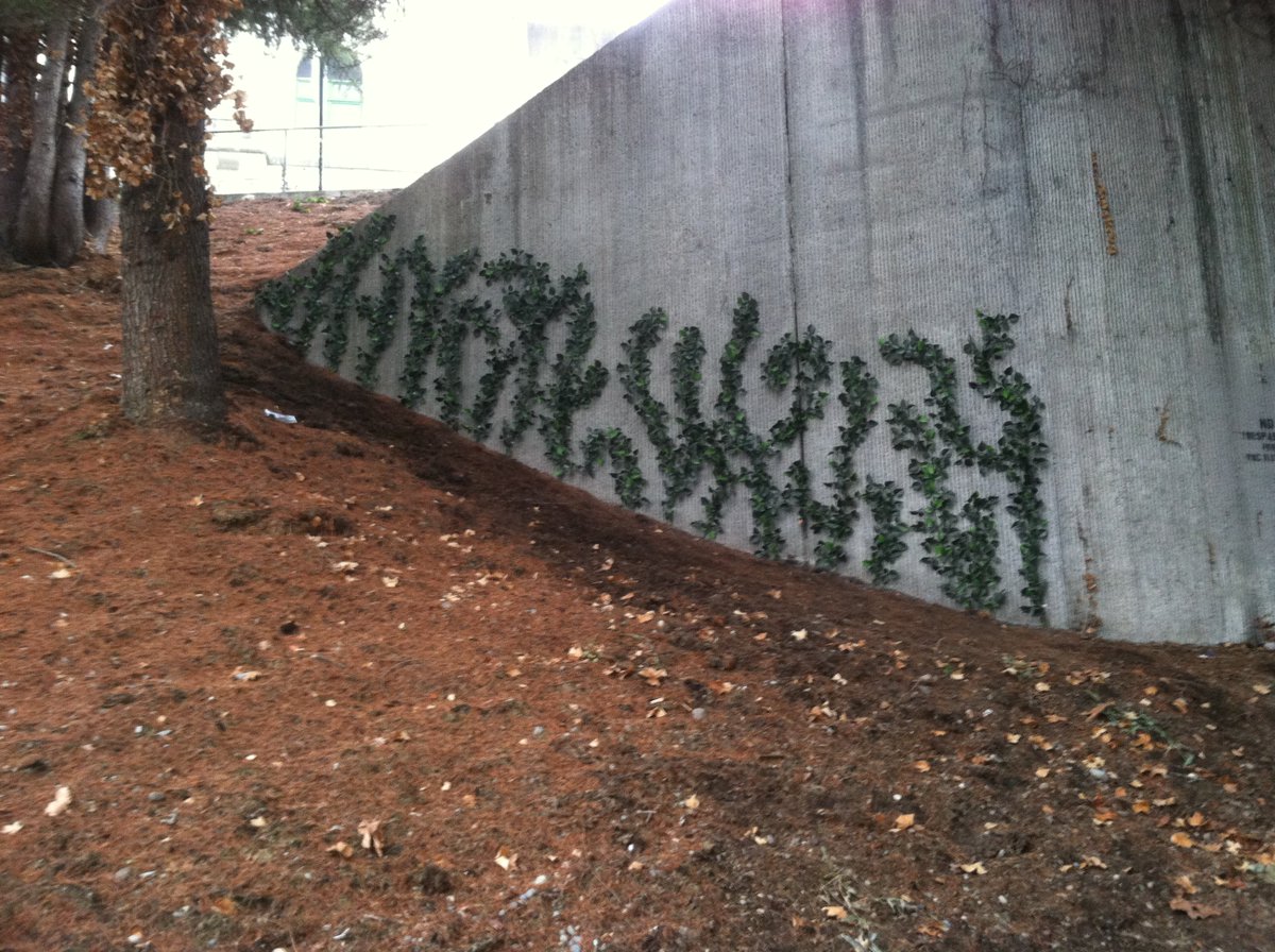 CityofTacoma's tweet image. Public Works is testing ‘Ivy-It’ as a #graffiti deterrent at the 600 block of Pacific Ave under I-705. #Tacoma
