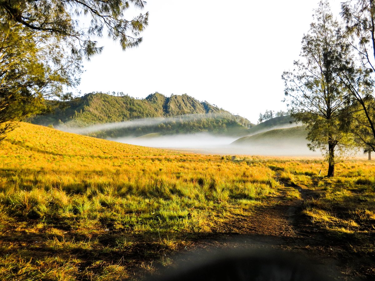 Lomba lari trel ultra( diatas 42,195km) mengambil lokasi di Bromo Tengger Semeru bromotenggersemeru100ultra.com #november