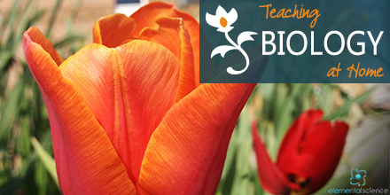 elementalscienc's tweet photo. Lots of great info for teaching #biology at home this month - https://t.co/IZXHc1hBsu #homeschool #elementalscience https://t.co/uYrfV6DLYo