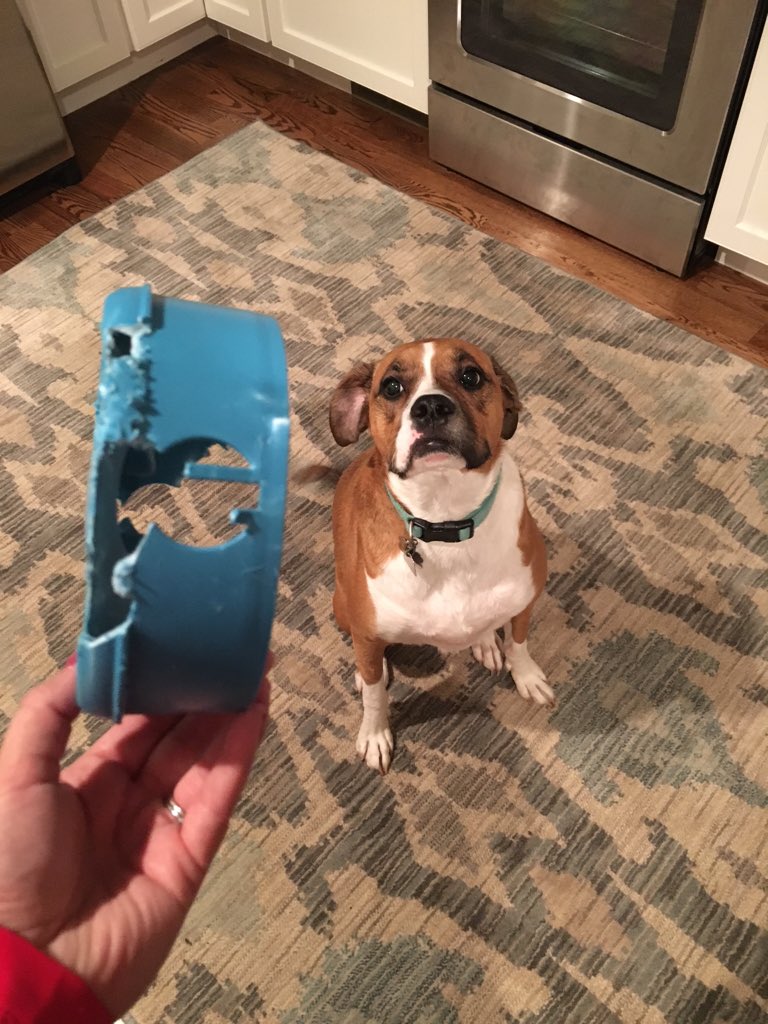 annacanady's tweet photo. When you look for someone else to blame but no one's there https://t.co/fMKHpKiY9Z