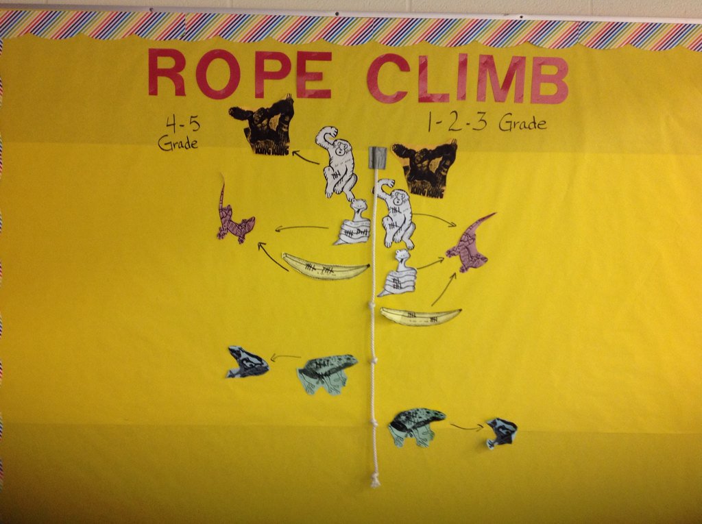 BirchviewPE's tweet photo. Birchview is starting our rope climbing and fitness unit! Let the fun and work begin! #BVRox https://t.co/ZleU3DuiVe