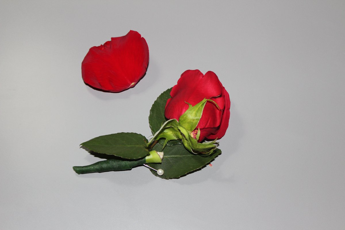 PinMeNot's tweet image. #PinMeNot.com #Kickstarter one week countdown until Launch on November 11 @7pm.