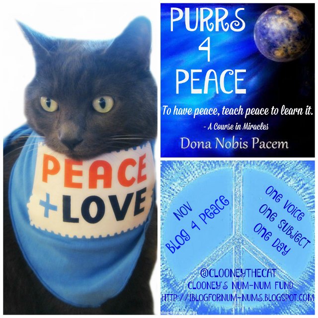 Dona Nobis Pacem, we #cats purr for #Peace &amp; The Power of #Love &amp; join <a href="/MimiLenox/">Mimi Lenox</a> in #Blog4Peace  #BlogBlast4Peace