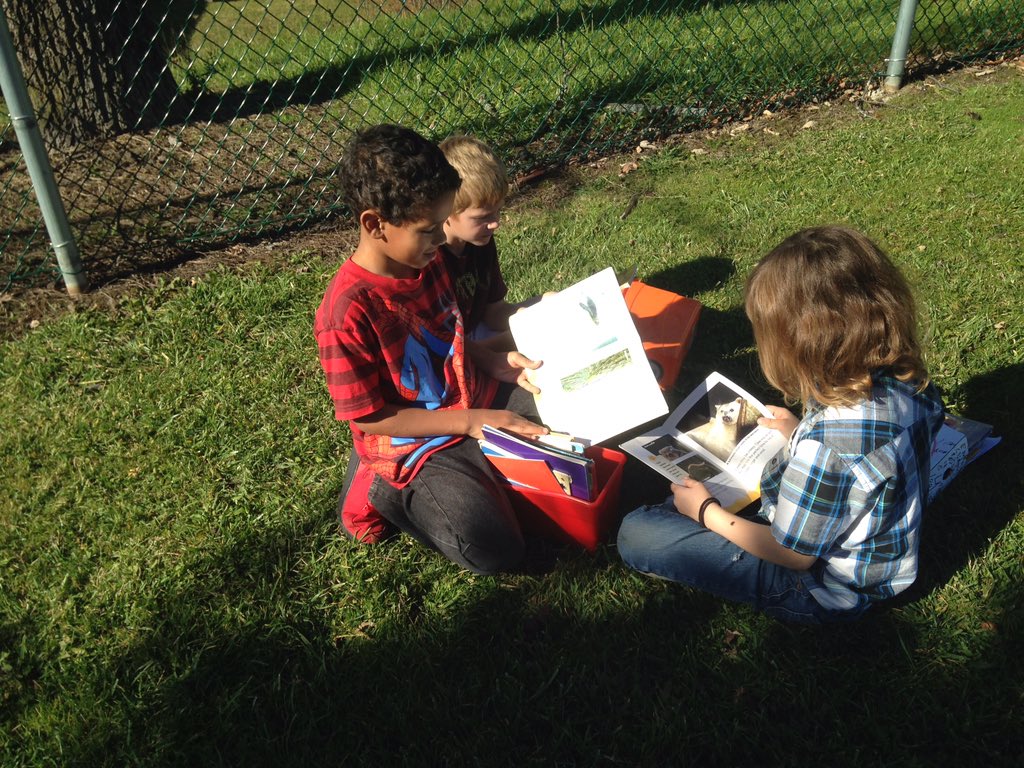 JES_Huskies's tweet photo. Mrs. Misinec's pups enjoying Indian Summer while reading outside! #pupsread https://t.co/g0Z9YDMCwW