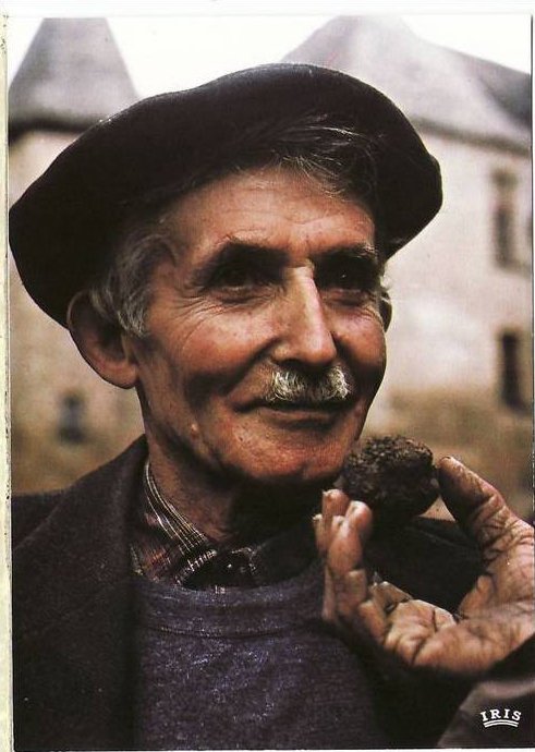 truffletraders's tweet photo. *Jump into the past* with this picture taken in 1975 on the French Perigord market! #perigord #truffle #France https://t.co/JPJEvNDLsq