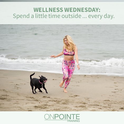 OnPointeSF's tweet photo. #WellnessWednesday Eat your lunch on a bench in the park. It will enlighten your spirits. https://t.co/LKkPPd3qXt