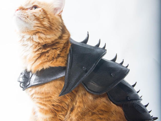 CNET's tweet image. Turn your cat into a fantasy warrior with 3D-printed armor cnet.co/1Qe7B8O