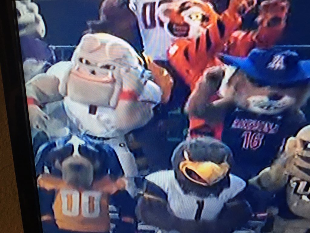 nmjensen99's tweet image. Excited to see Hairy Dog on the CMA music awards!! #uga @UGAcheerleading