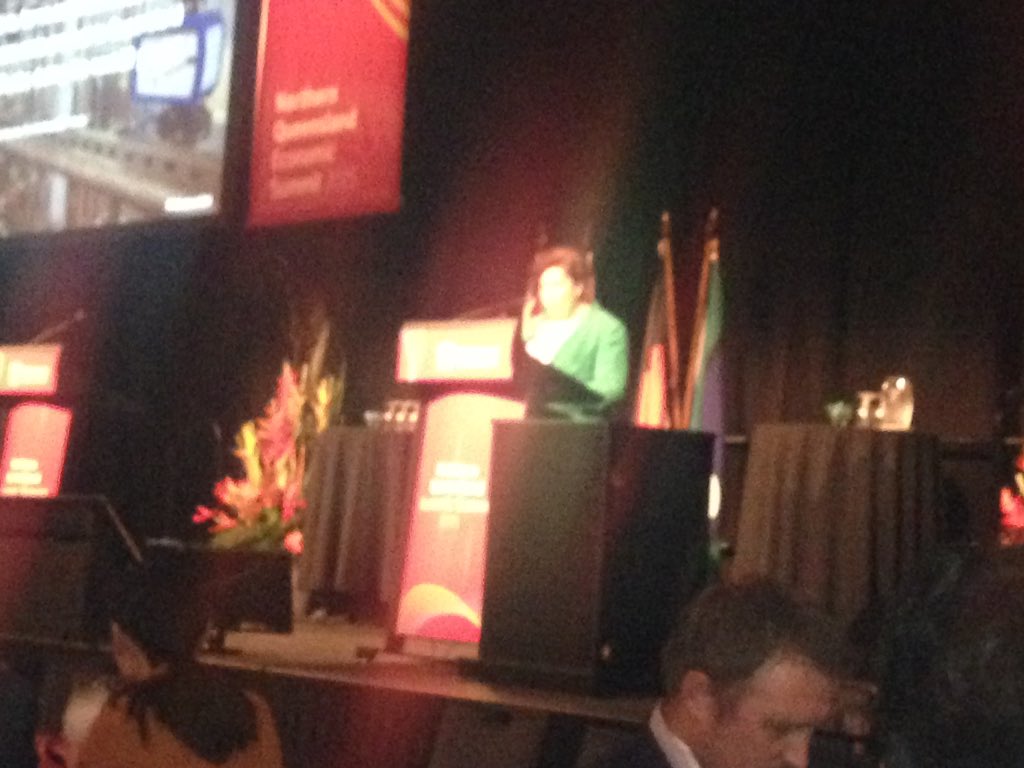 jcu_eresearch's tweet image. Minister @LeeanneEnoch mentions #digitalhomestead  at #NQESummit address! digitalhomestead.org