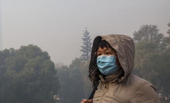 [ Environment News ] tweet media