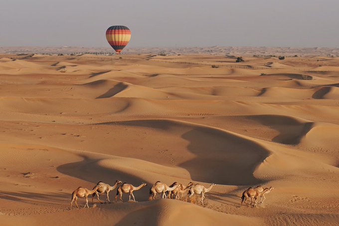 A beautiful welcome to Dubai in the Margham Desert. #LoveForDubai #DubaiJadore https://t.co/6HXE9eBN<a href="/tag/lovefordubai"class="tags"><span>#lovefordubai</span></a><a href="/tag/dubaijadore"class="tags"><span>#dubaijadore</span></a>