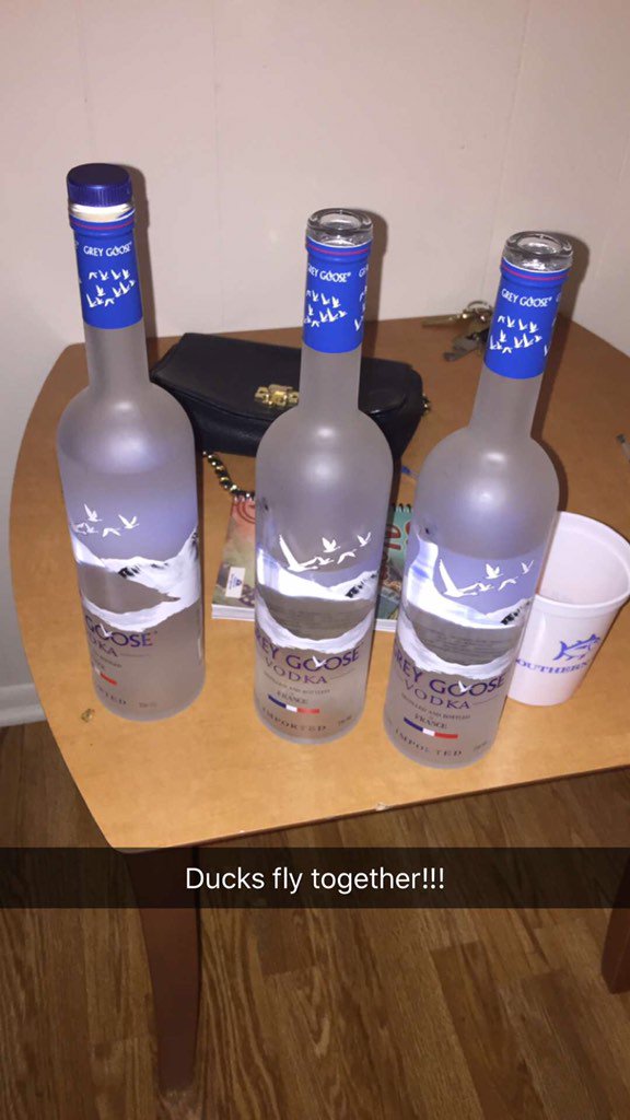 LiquorThings's tweet photo. Let the geese fly! #theonlywaytotravel #ILivePaycheckToPaycheck #justliquorthings https://t.co/sylpChhAQZ