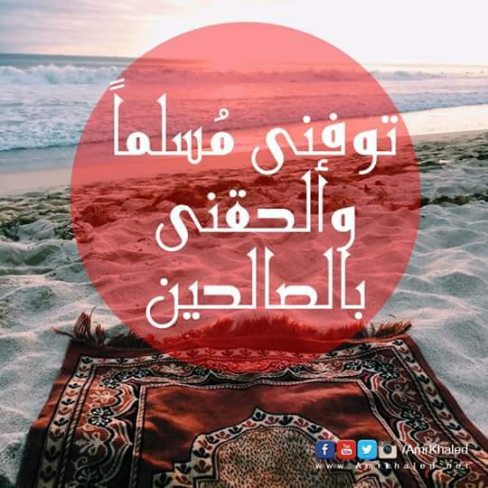 sayed abo Hemeda (@abo_hemeda) on Twitter photo 