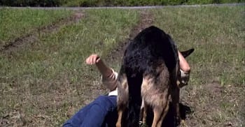 muhepiqedoco's tweet photo. Hero Stray Dog Rescues Woman After Crashing Her Car On A Rural Road
https://t.co/kjsvD02Y8O https://t.co/poFoGa1t7V