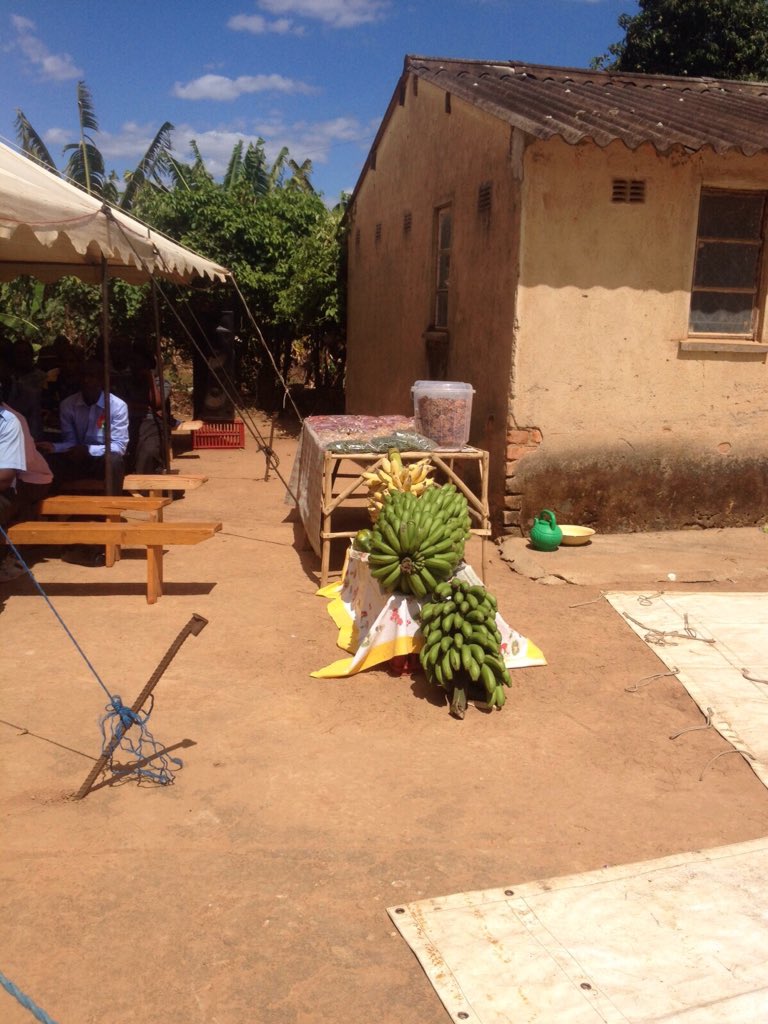YoungFarmersLab's tweet photo. Handover ceremony for solar dryers happening now in Honde Valley @young_clubs @UNDPZimbabwe @WilliamTsuma https://t.co/yHy2bT8VM8