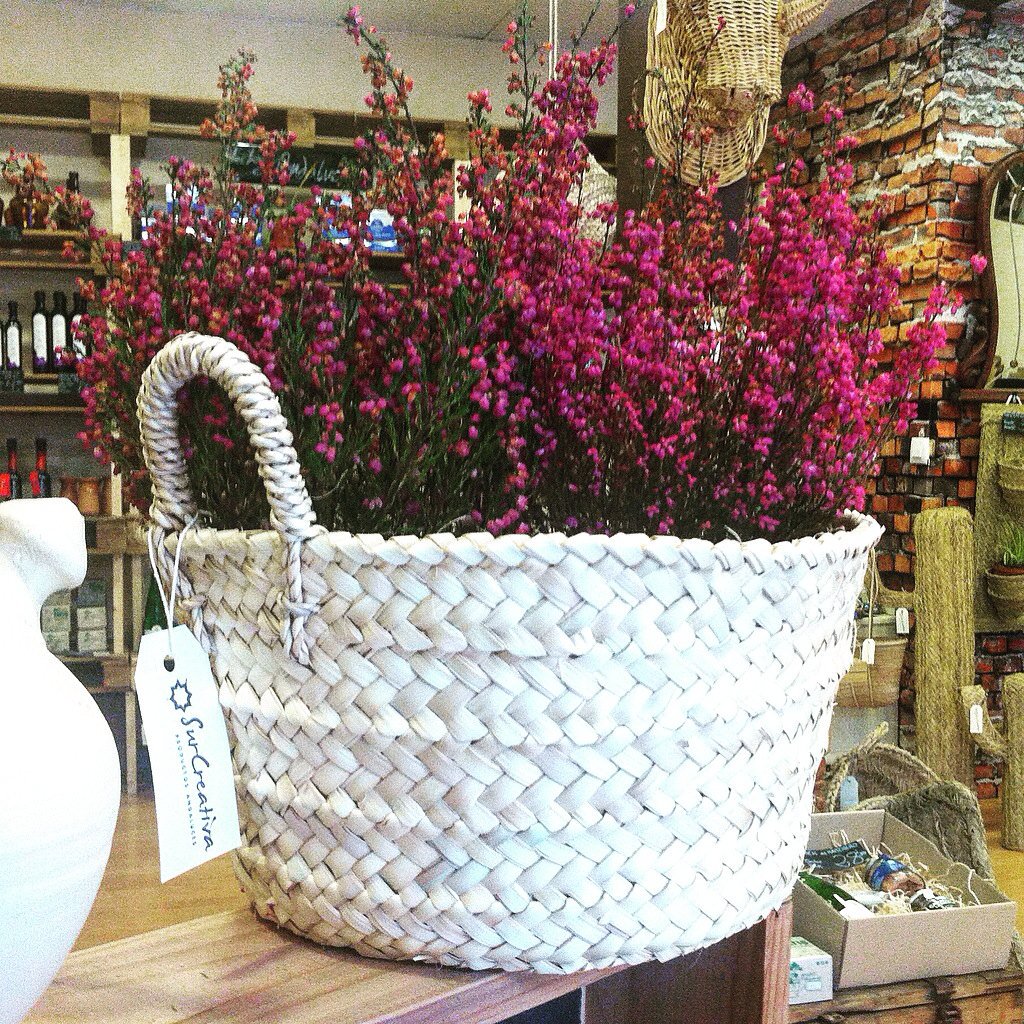 SurCreativa tweet media