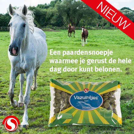 Vazuintjes Appel: gezonde caloriearme paardensnoepjes met mineralen, kruiden en appelsmaak bit.ly/1WyaxlQ