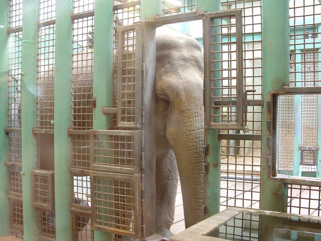 BDSits123's tweet photo. RT @d_heffe https://t.co/Bqo97Be6iV #SetLucyFree #YEG #cdnpoli https://t.co/jfQJtTgZ5I