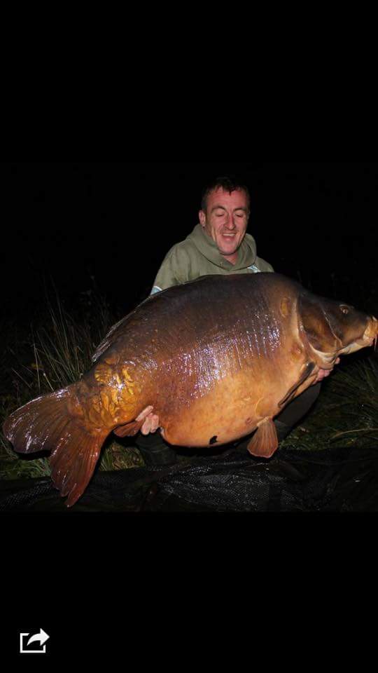 hendcarper's tweet photo. #urbanbaits big fish angler Colin orgomon woodfall with etangs Dino  93lb chuffed he's had this fish great angling https://t.co/tTbCgWALxs