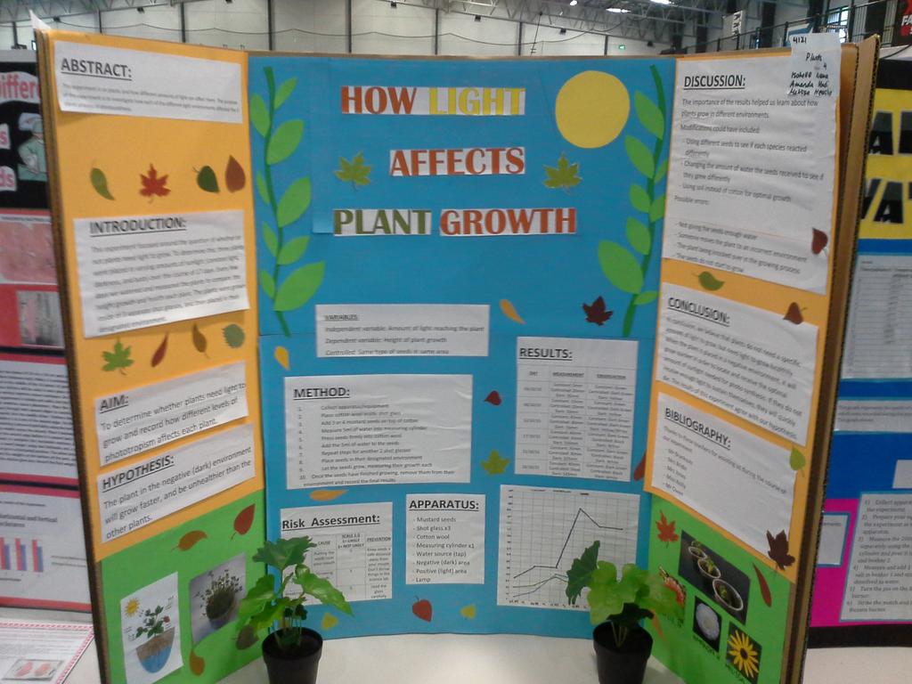 science fair aus sciencefairaus twitter science fair poster