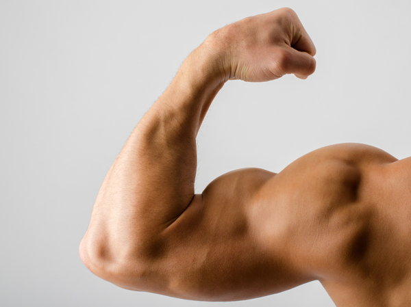 theappletree015's tweet photo. Building Muscles on a Vegetarian Diet? Experts Say It’s Possible! https://t.co/8awBubudI4 https://t.co/N46w12o6Ar