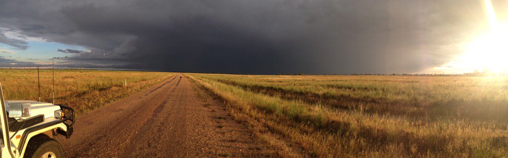 Roy Hamilton tweet media