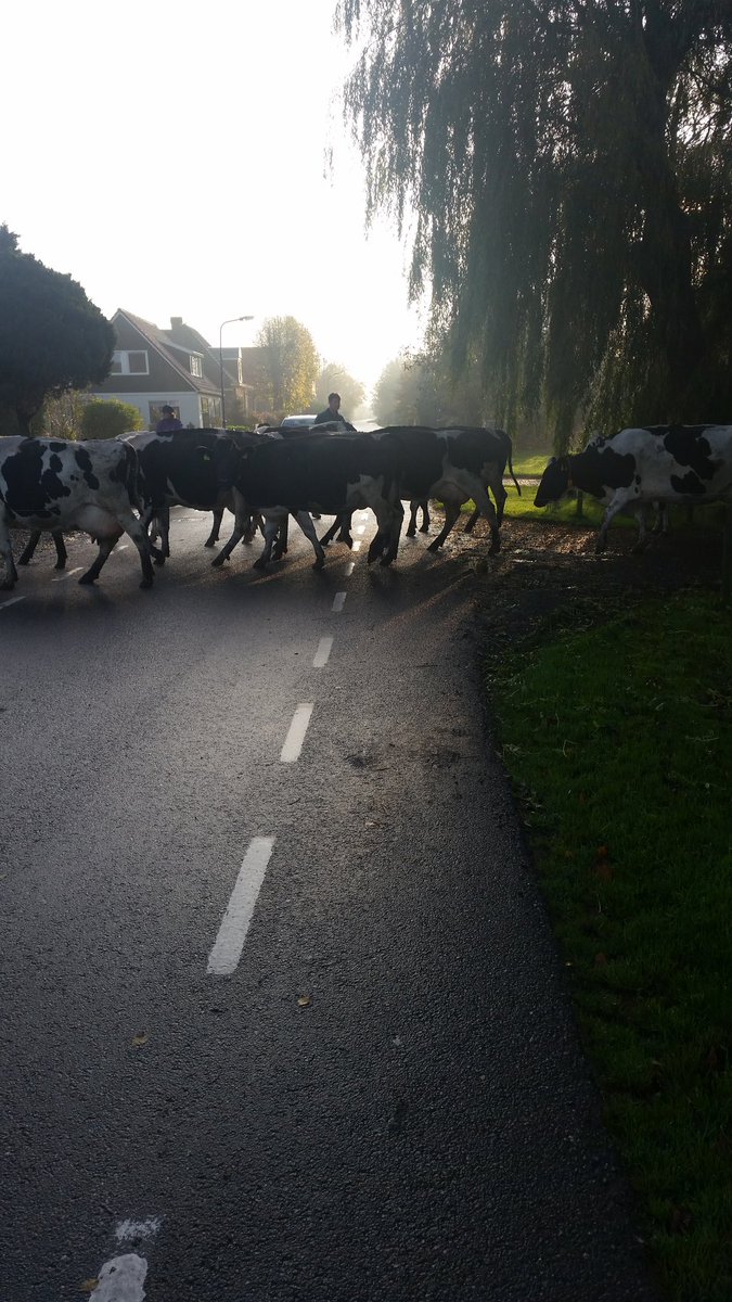 “<a href="/ClaudineLaan/">Claudine Laan</a>: sporten....even wachten want er moeten er 160 over.... ” en schoenen weer van klei verlossen