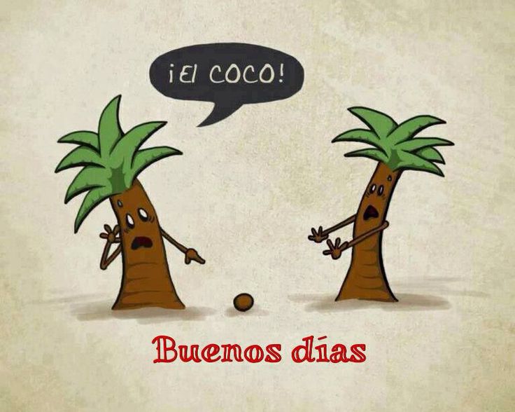 Verónica M tweet media