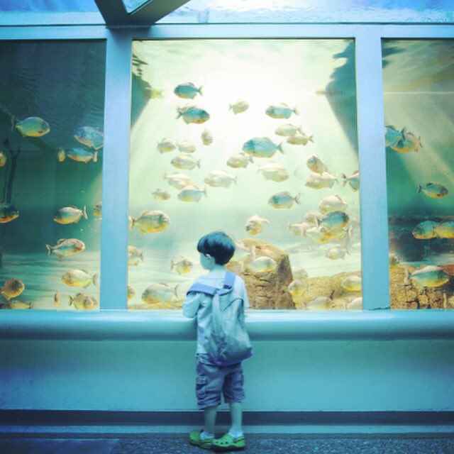 LieselBockl's tweet photo. Of all the fish in the sea, I'm so glad you swam to me. #gingerblossomstudios #kidsphotography #childrenphotographer https://t.co/1p5lQ9irno