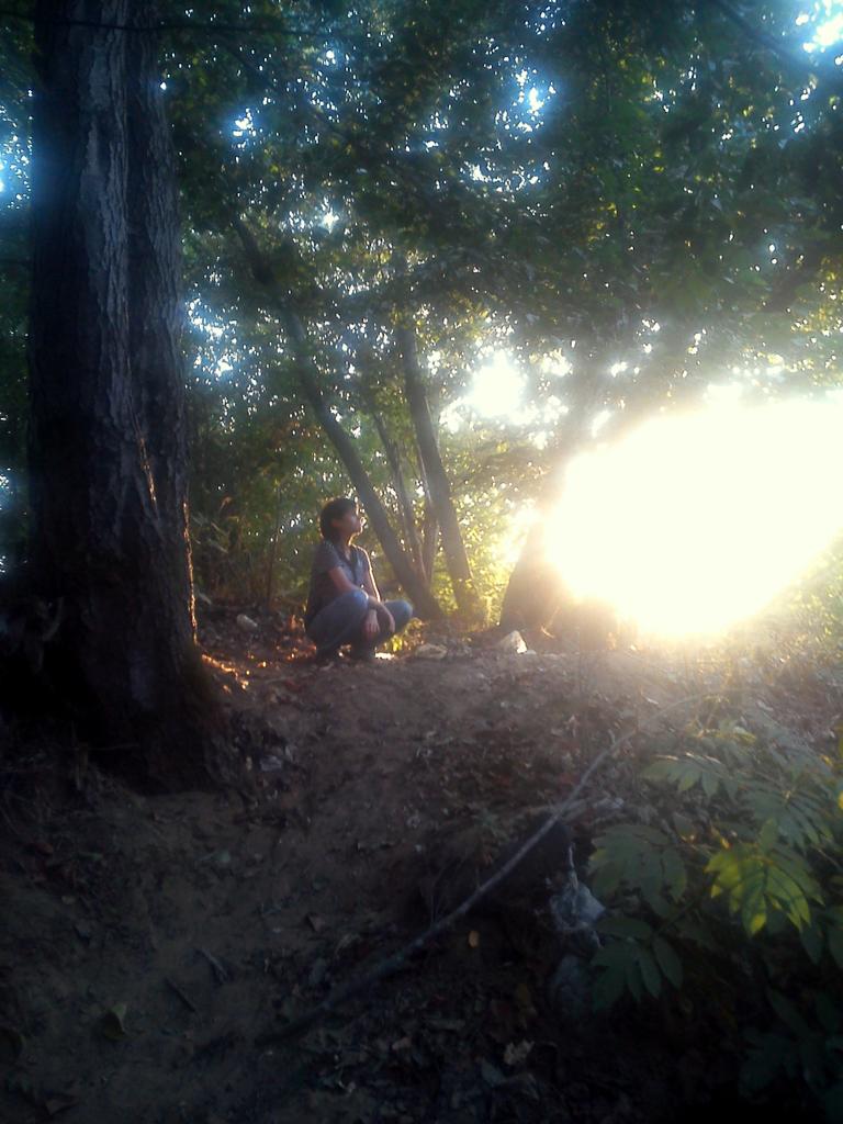 mmmmeley's tweet photo. #nature #travel #AwesomeMoment #sunshine #POINTofVIEW https://t.co/LUlG9uZ1ir