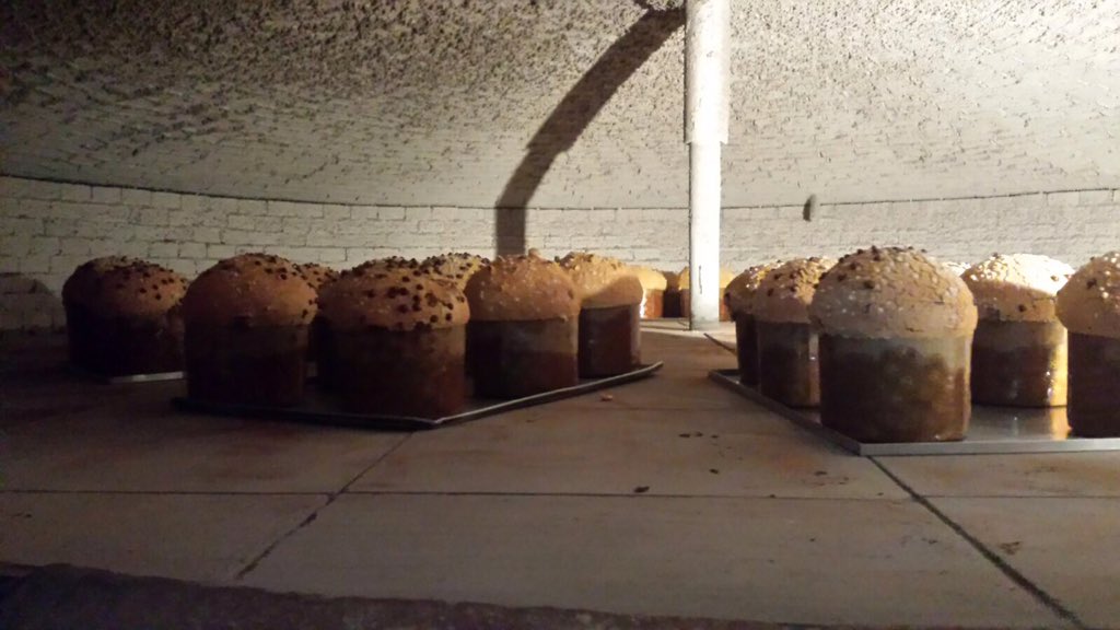 ArgibayPan's tweet photo. Panettones a punto de salir del horno viejo. #alricodesayuno https://t.co/BL2F9LwKxy