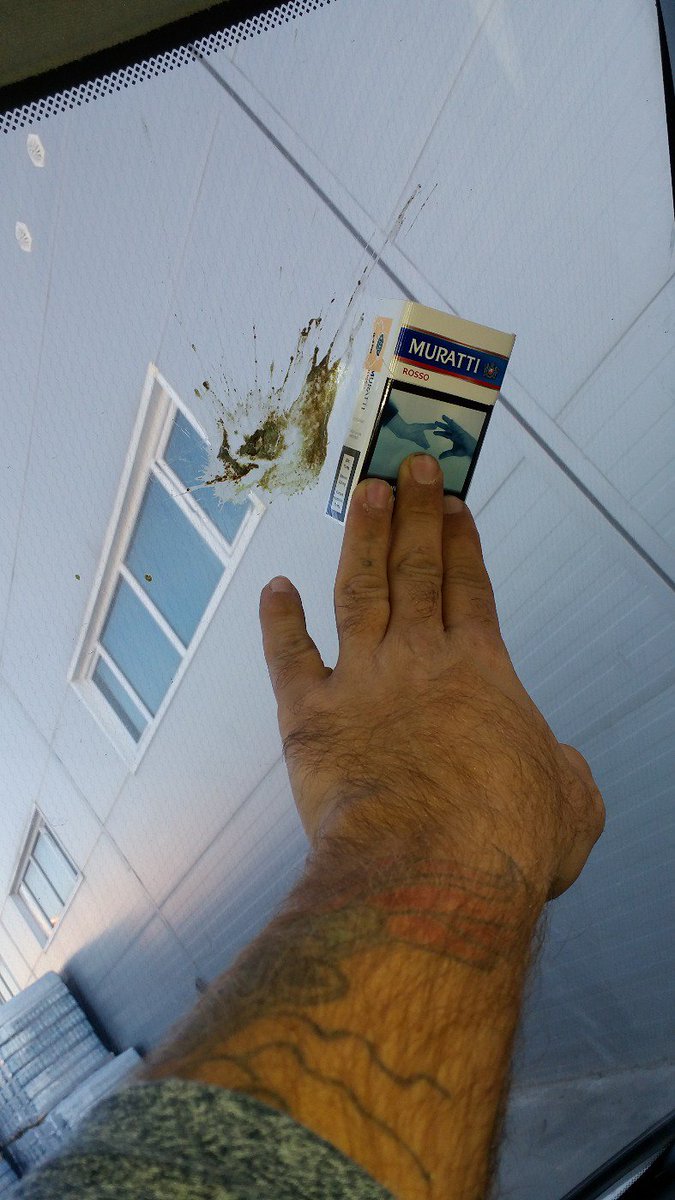 Sen kuşsun neden ejderha gibi sıçıyosun arkadaş.