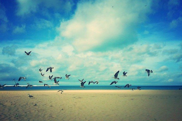 MoroccoWNews's tweet photo. #Tangier Top #Tourist Destination of the Month, According to @voguemagazine https://t.co/kmal3SVuPL @Lahcenhaddad https://t.co/daFQ4GLIe6