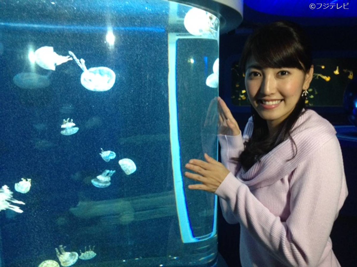 めざましテレビ Twitterissa クリスマスバージョンになった江ノ島水族館 チームラボの ナイトワンダーアクアリウム を小澤陽子アナがリポート あすは朝から幻想的な世界にいやされちゃおう 灬ºwº灬 7時10分過ぎに放送予定 めざましテレビ T Co Adjwgtuwbf めざましテレビ Twitterissa クリスマスバージョンになった江ノ島水族館 チームラボの ナイトワンダーアクアリウム を小澤陽子アナがリポート あすは朝から幻想的な世界にいやされちゃおう 灬ºwº灬 7時10分過ぎに放送予定 めざましテレビ T Co Adjwgtuwbf