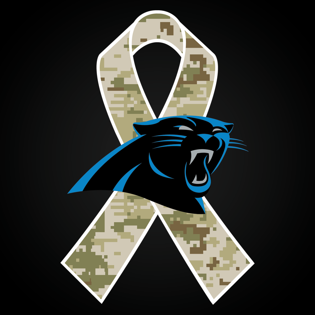 Panthers's tweet photo. #SaluteToService https://t.co/VOB9W4L07i