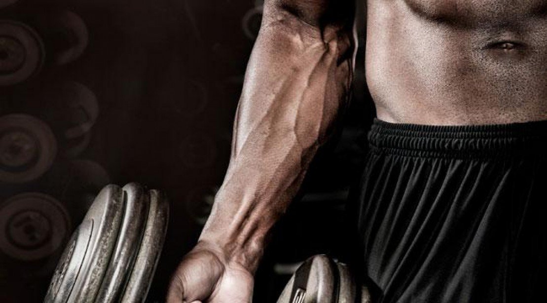 muscle_fitness tweet picture