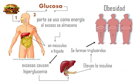 Exceso de insulina