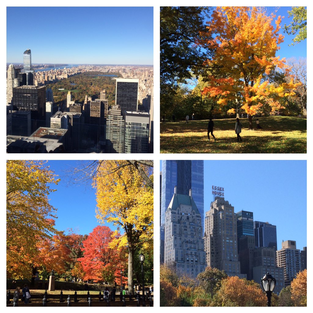 JonathanWKone's tweet photo. #NYC #centralpark https://t.co/ROFsH8PNu6
