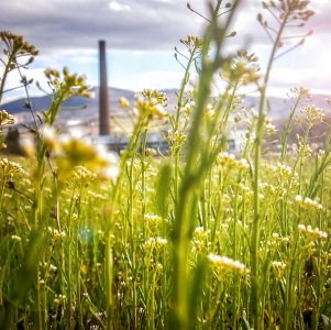 AdherentAI's tweet photo. 5 Things I Learned from the Irish Sustainability Summit #SSIRE15 @Sustain_Ireland https://t.co/kNzCxl5zo0 https://t.co/wm2s9IHKdj