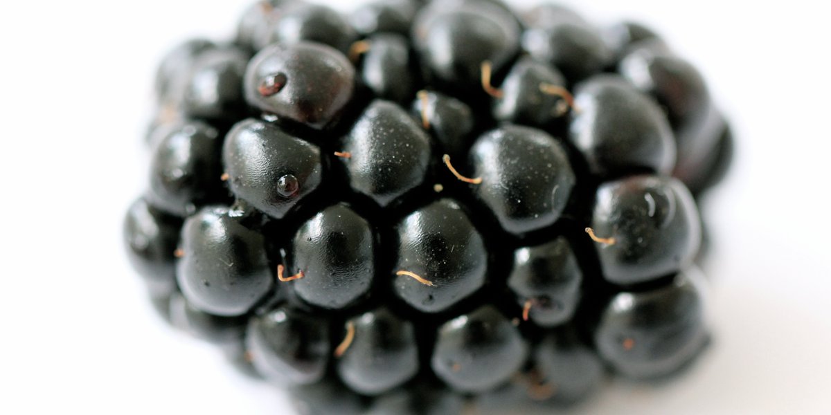help feed the world with your mobile phone. #foodsnapping #FoodPhotographyAward
more info: bit.ly/1RykBES