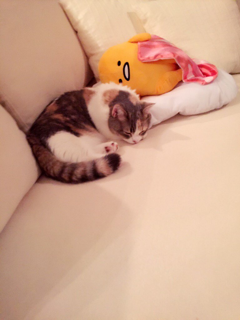 埋め込み画像への固定リンク