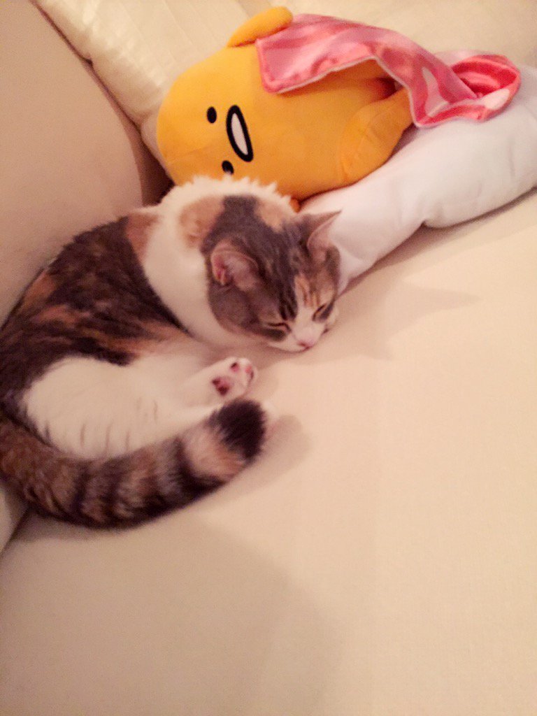 埋め込み画像への固定リンク