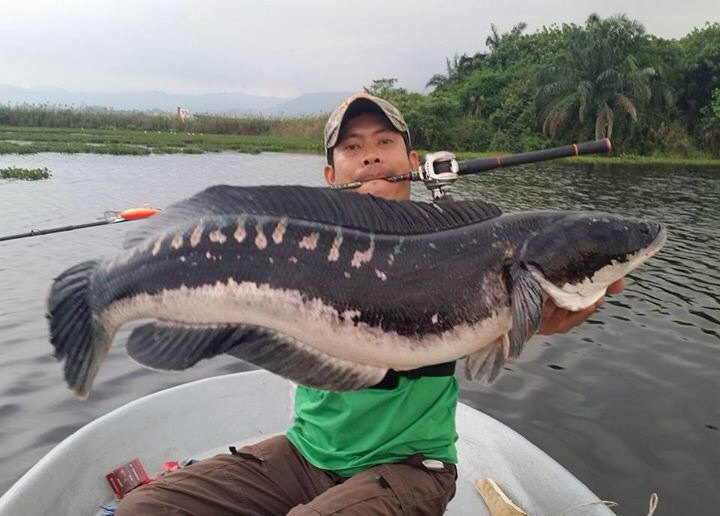 thefishinglife's tweet photo. #tomantime https://t.co/UkSOBJgeWS