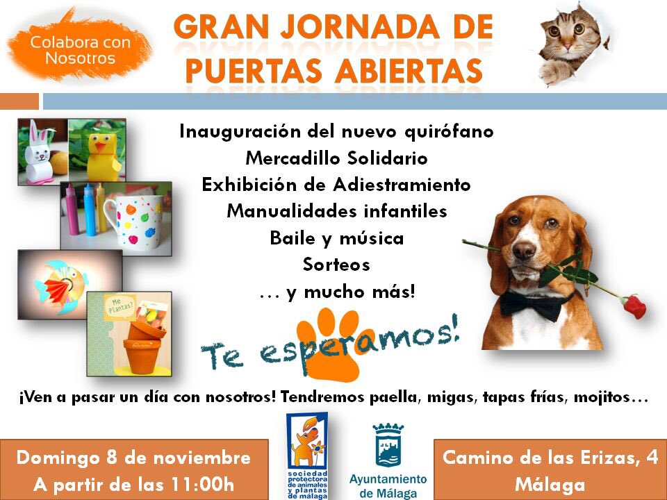 vanesamartin_'s tweet photo. Os esperamos el domingo en @protemalaga , además camisetas como esta y otras chulísimas! vuestra generosidad es 👏🏻 https://t.co/1sMcFe3x8M