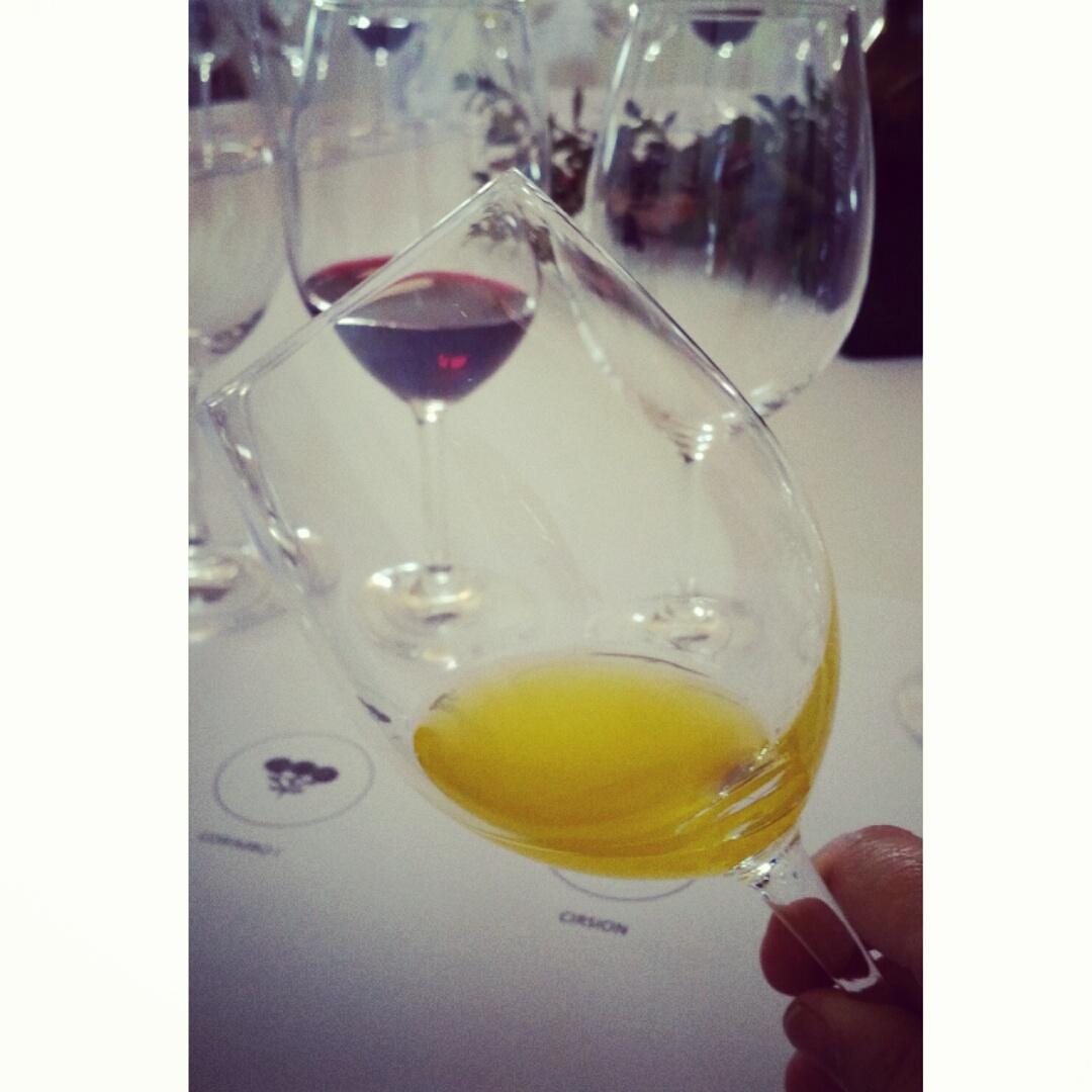 sonboira's tweet photo. Primer aceite de la temporada de @aubocassa ! De aceitunas recogidas esta misma mañana, muy especial. #cata https://t.co/ZVJ9z5vwrb