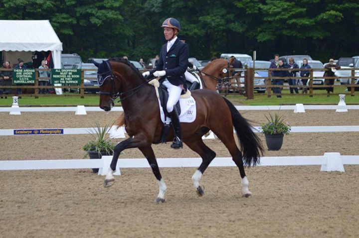 PrioryFE's tweet photo. Excited for the fabulous Matt Frost's clinic on 09/11 and 10/11. Feel free to pop down #horse #dressage #equine https://t.co/H2ntUpUWmG