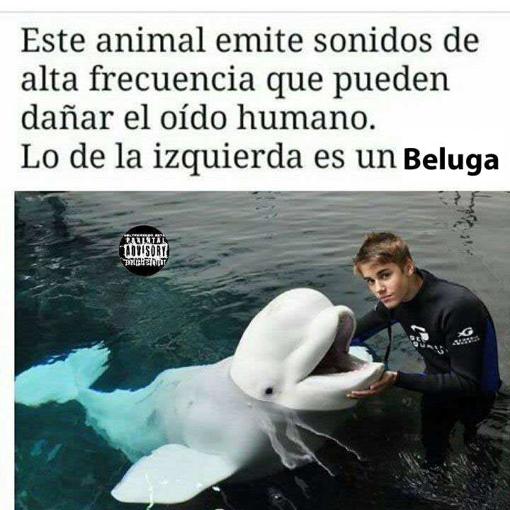 siguestesigo tweet media